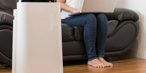 7 Remedies to Get Rid of Dead Rat Smell