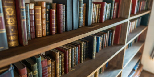 Library Science – Degrees, Cost, and Job Opportunities