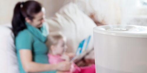 Black Friday 2024 Air Purifier Deals: Clean Air at Unbeatable Prices