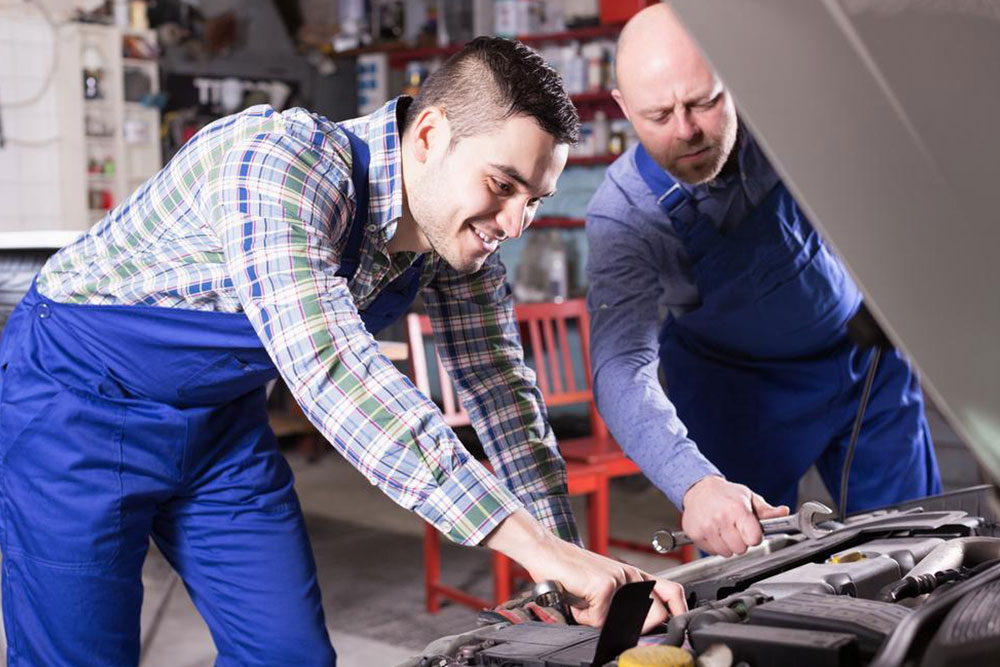 Dickies – Everything you need to know