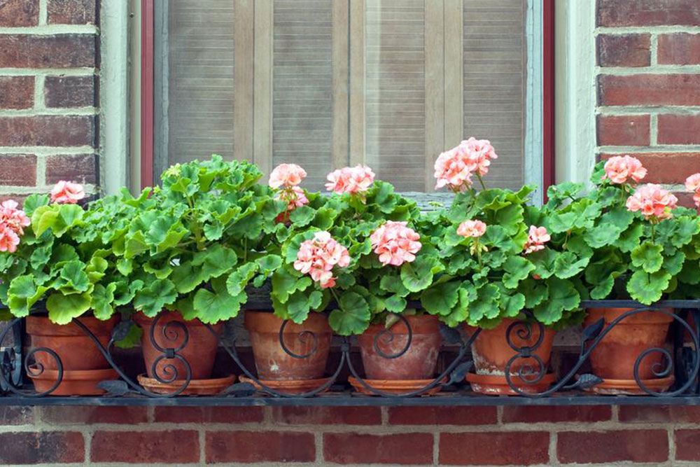 Different types and uses of large outdoor planters