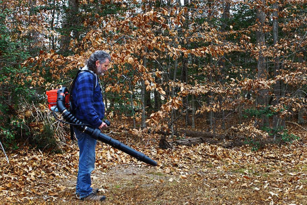 How to spot the best leaf blowers?
