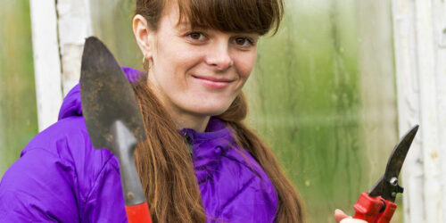 How to Store and Organize Garden Tools