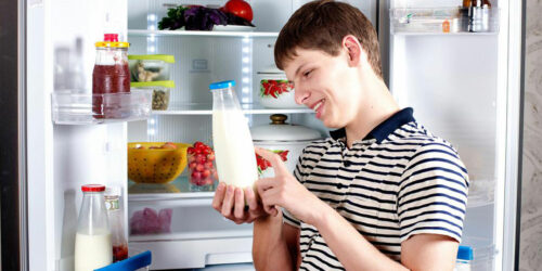 Refrigerators – Choosing from the popular brands