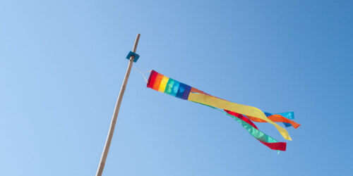 4 Pride flag windsocks that are perfect for your backyard