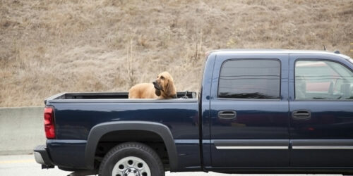 The hottest Chevy pickup trucks of the year