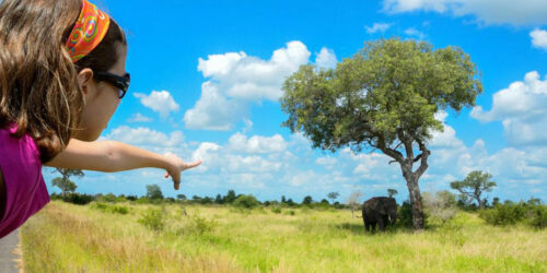 4 South African Tour Companies to Consider